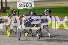 2025_PACEPIX_GP24102025_Race7_HerPresence_WIN_WEB-8