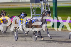 2025_PACEPIX_GP24102025_Race7_HerPresence_WIN_WEB-9
