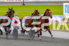 RACE 7 - Hotfoot It