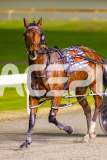 2025_PACEPIX_GP05082025_RACE7_ILikeWhatISee_WIN_WEB-15