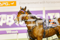 2025_PACEPIX_GP05082025_RACE7_ILikeWhatISee_WIN_WEB-16