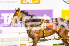 2025_PACEPIX_GP05092025_RACE7_IdealBeach_WIN_WEB-23