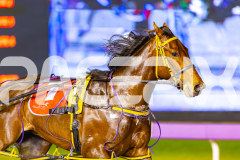 2025_PACEPIX_GP05092025_RACE7_IdealBeach_WIN_WEB-5