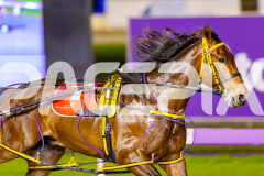 2025_PACEPIX_GP05092025_RACE7_IdealBeach_WIN_WEB-9