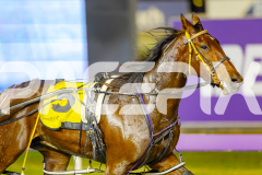 2025_PACEPIX_GP06062025_RACE7_Iseeubaby_WIN_WEB-10