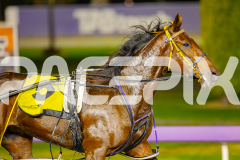 2025_PACEPIX_GP06062025_RACE7_Iseeubaby_WIN_WEB-11