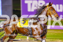 2025_PACEPIX_GP06062025_RACE7_Iseeubaby_WIN_WEB-3