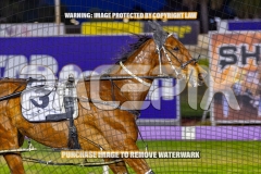 2026_PACEPIX_GP27102026_Race6_KeeganBanner_WIN_WEB-10