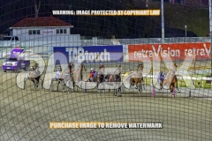 2026_PACEPIX_GP27102026_Race6_KeeganBanner_WIN_WEB-11