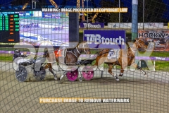 2026_PACEPIX_GP27102026_Race6_KeeganBanner_WIN_WEB-15