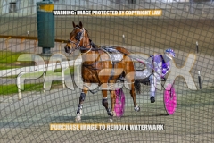 2026_PACEPIX_GP27102026_Race6_KeeganBanner_WIN_WEB-22