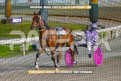 2026_PACEPIX_GP27102026_Race6_KeeganBanner_WIN_WEB-23