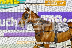 2026_PACEPIX_GP27102026_Race6_KeeganBanner_WIN_WEB-24