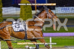 2026_PACEPIX_GP27102026_Race6_KeeganBanner_WIN_WEB-5