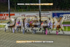 2026_PACEPIX_GP27102026_Race6_KeeganBanner_WIN_WEB-7