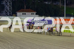 2026_PACEPIX_GP19062026_Race7_Koojan_WIN_WEB-1