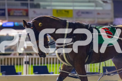 2026_PACEPIX_GP19062026_Race7_Koojan_WIN_WEB-10