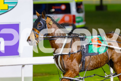 2026_PACEPIX_GP19062026_Race7_Koojan_WIN_WEB-8