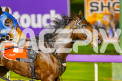 2025_PACEPIX_GP24062025_RACE7_LadyMermaid_WIN_WEB-14