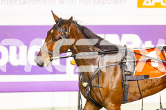 2025_PACEPIX_GP24062025_RACE7_LadyMermaid_WIN_WEB-16