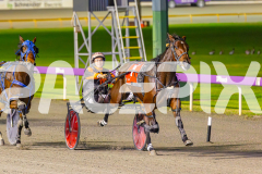 2025_PACEPIX_GP24062025_RACE7_LadyMermaid_WIN_WEB-7