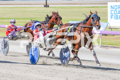 Race 7 - Lets Rock Tonight