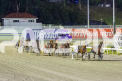 2025_PACEPIX_GP21112025_RACE7_LilHappyFella_WIN_WEB-1