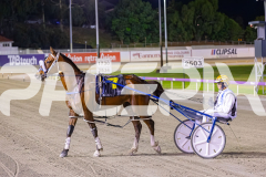 2025_PACEPIX_GP21112025_RACE7_LilHappyFella_WIN_WEB-13