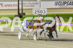 2025_PACEPIX_GP21112025_RACE7_LilHappyFella_WIN_WEB-2