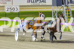 2025_PACEPIX_GP21112025_RACE7_LilHappyFella_WIN_WEB-3