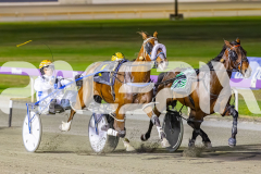 2025_PACEPIX_GP21112025_RACE7_LilHappyFella_WIN_WEB-5