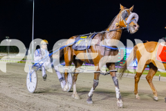 2025_PACEPIX_GP21112025_RACE7_LilHappyFella_WIN_WEB-50