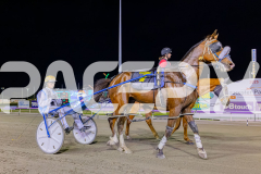 2025_PACEPIX_GP21112025_RACE7_LilHappyFella_WIN_WEB-51