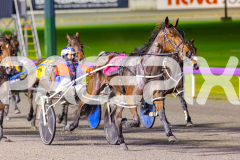 RACE 7 - Lillie Queen