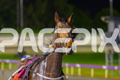 2025_PACEPIX_GP19082025_RACE7_LillieQueen_WIN_WEB-11