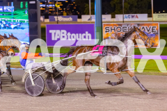 2025_PACEPIX_GP19082025_RACE7_LillieQueen_WIN_WEB-5