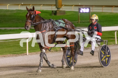 Lincoln-Lou_03-04-2026_WIN_Gloucester-Park_7__12