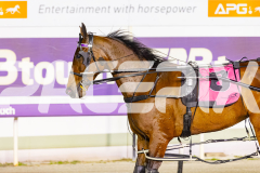 2025_PACEPIX_GP14112025_RACE7_LittleDarling_WIN_WEB-13