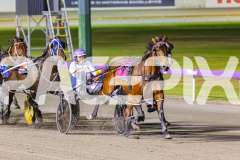 2025_PACEPIX_GP14112025_RACE7_LittleDarling_WIN_WEB-3
