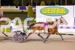 2025_PACEPIX_GP14112025_RACE7_LittleDarling_WIN_WEB-7