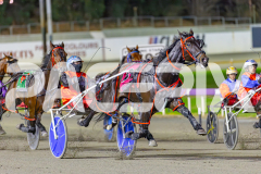 RACE 7 - Longreach Bay
