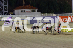 2025_PACEPIX_GP02052025_Race7_LongreachBay_WIN_WEB-14