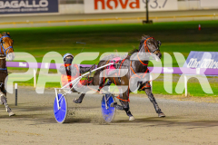 2025_PACEPIX_GP02052025_Race7_LongreachBay_WIN_WEB-16