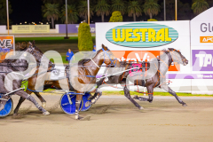 2025_PACEPIX_GP02052025_Race7_LongreachBay_WIN_WEB-19