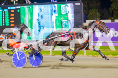 2025_PACEPIX_GP02052025_Race7_LongreachBay_WIN_WEB-2