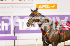 2025_PACEPIX_GP02052025_Race7_LongreachBay_WIN_WEB-26