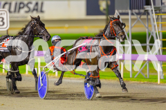 2025_PACEPIX_GP02052025_Race7_LongreachBay_WIN_WEB-5