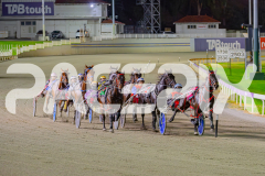 2025_PACEPIX_GP02052025_Race7_LongreachBay_WIN_WEB-9