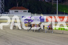2026_PACEPIX_GP03072026_Race7_LuckyCopy_WIN_WEB-1