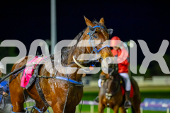 2026_PACEPIX_GP03072026_Race7_LuckyCopy_WIN_WEB-11